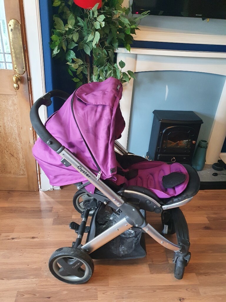 purple oyster pram